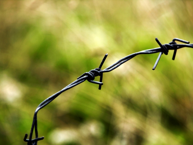 Соловки. В поисках вдохновения... (Путешествия, путешествия)