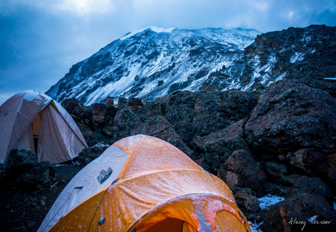 5 причин подняться на Килиманджаро в 2015 году (Туризм, танзания, африка, base, треккинг, восхождение на вулкан, Altezza Travel, Альтеза)