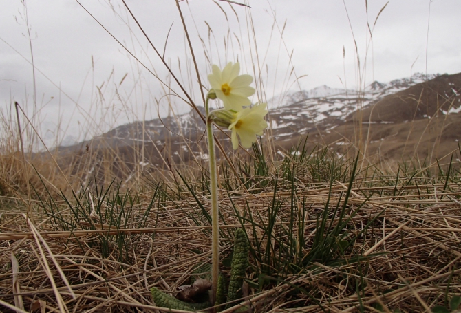 Всех рисковчанок с наступившей весной! :)