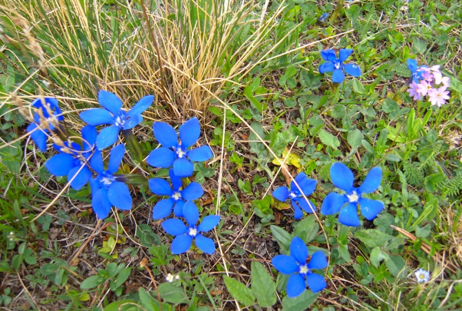 Всех рисковчанок с наступившей весной! :)