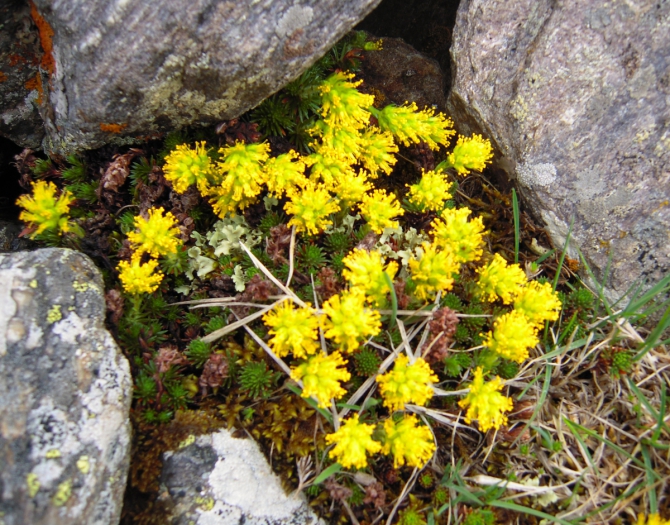 Всех рисковчанок с наступившей весной! :)
