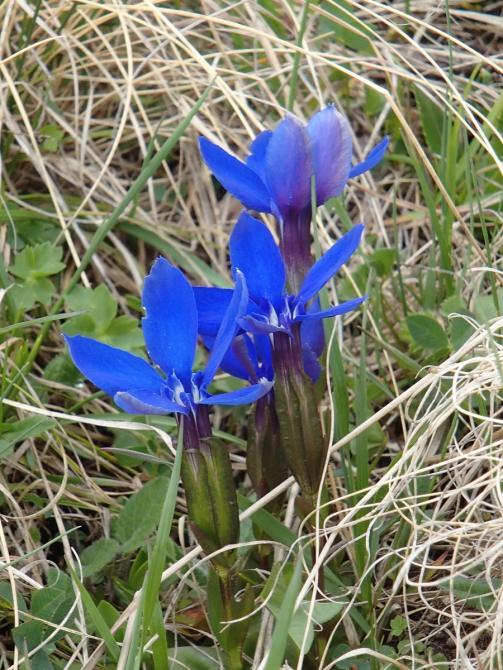 Всех рисковчанок с наступившей весной! :)