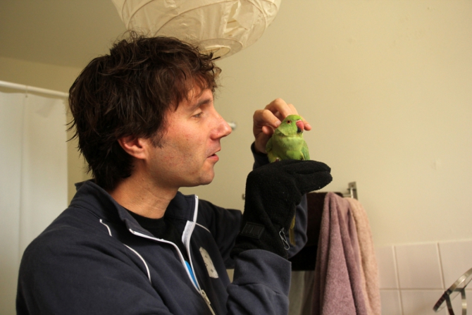 Соло вело путешествие по Западной Европе (6 стран, 2500 км, 40 дней). Часть I (Путешествия, French Way, Spain, Buen Camino, solo bike trip, испания, Путь Сантьяго, соло велопоход, велопутешествие по Западной Европе)