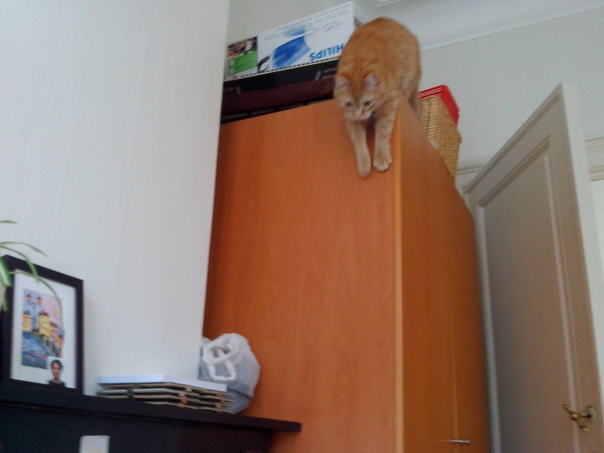 Соло вело путешествие по Западной Европе (6 стран, 2500 км, 40 дней). Часть I (Путешествия, French Way, Spain, Buen Camino, solo bike trip, испания, Путь Сантьяго, соло велопоход, велопутешествие по Западной Европе)