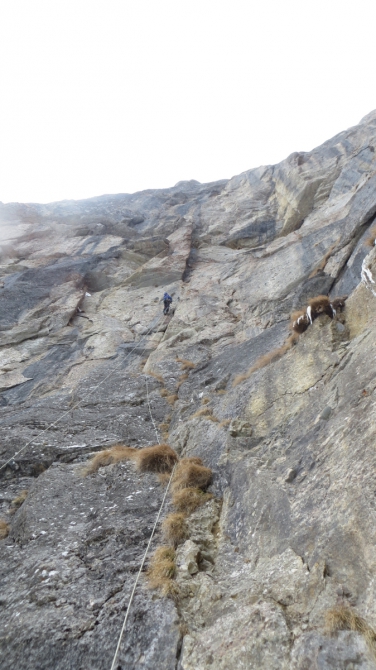 Румынские Карпаты (Альпинизм, румыния коштилла буштени альпклуб одесса зима)