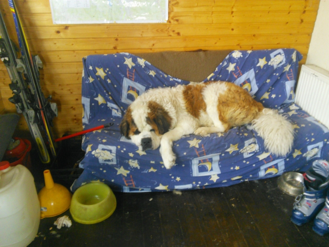 Румынские Карпаты (Альпинизм, румыния коштилла буштени альпклуб одесса зима)