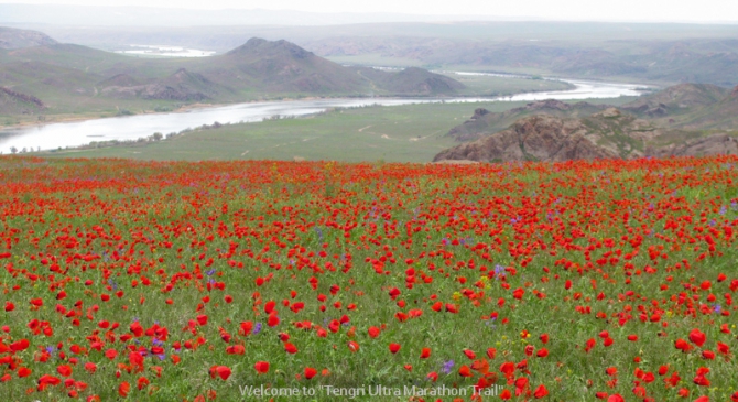 Tengri Ultra Trail 2015 (Скайраннинг)