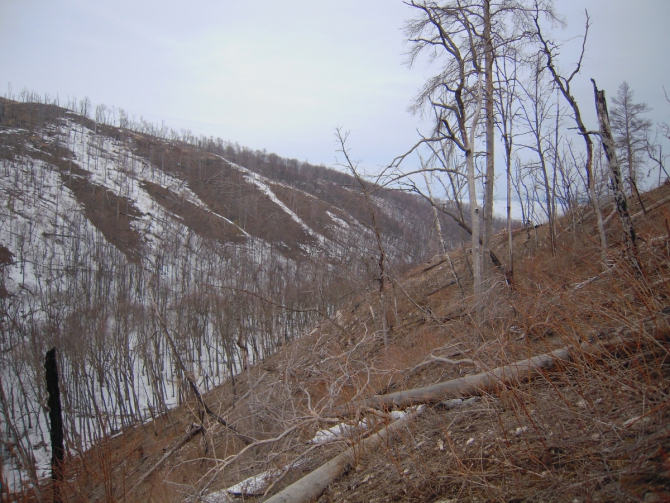 Когда до Кавказа ещё далеко, но очень хочется... (Путешествия)
