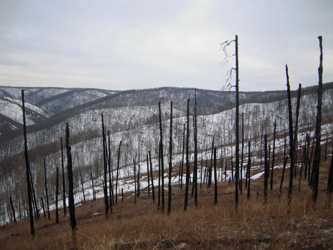 Когда до Кавказа ещё далеко, но очень хочется... (Путешествия)