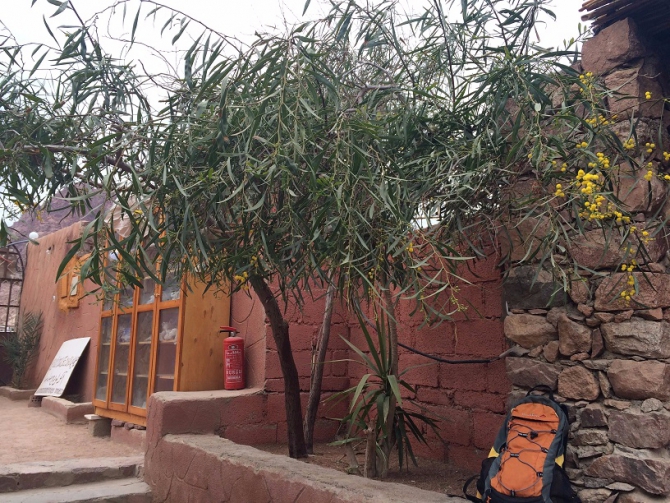 Нарядный альпинизм в горах Синая или история еще одного восхождения на Сафсафу (сафсафа, египет, восхождение, синай)