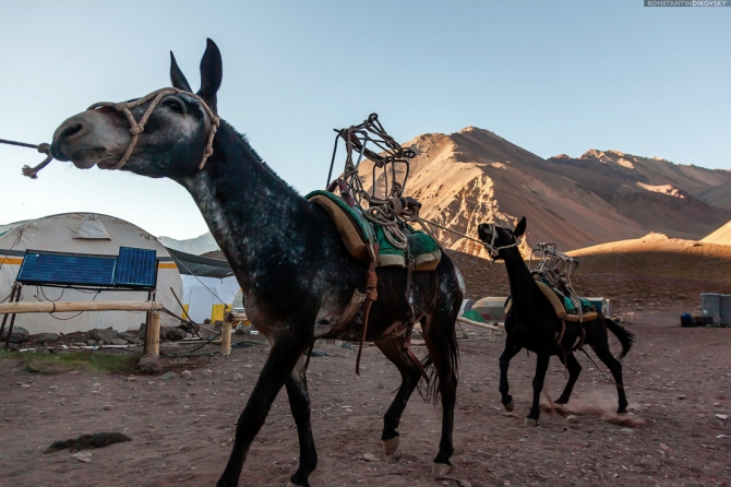 Аконкагуа с Северо-Запада. Краткий обзор (Альпинизм, аргентина)