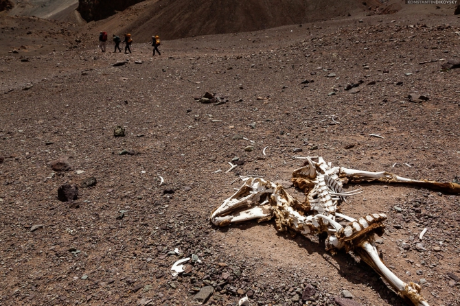 Аконкагуа с Северо-Запада. Краткий обзор (Альпинизм, аргентина)