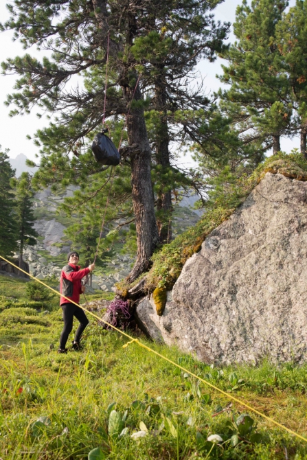 Зоопарк заказывали? - Что значит: «Нет, спасибо.»!? УПЛОЧЕНО! (Горный туризм, ергаки, медведь в палатке)