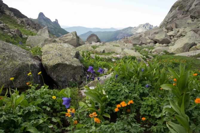 Зоопарк заказывали? - Что значит: «Нет, спасибо.»!? УПЛОЧЕНО! (Горный туризм, ергаки, медведь в палатке)