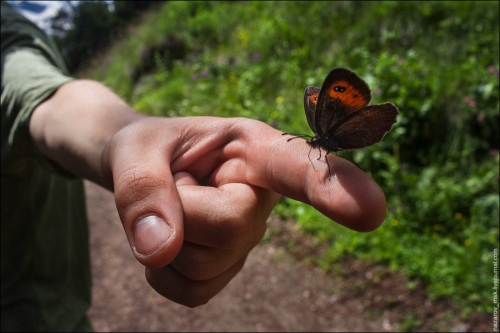 Эльбрус с юга (Альпинизм, фото)