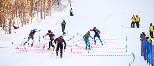 Итог спортивного сезона на Камчатке по ски-альпинизму 2014-2015. (Ски-тур, ski-mountaineering, ski-tour)