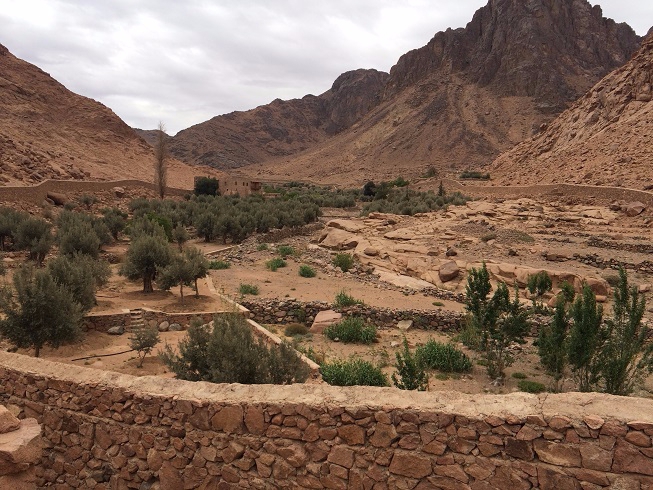 Высокогорный трекинг по Синаю – восхождение на гору Святой Екатерины (Горный туризм)