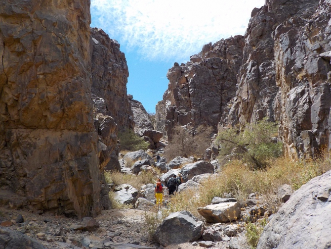 Высокогорный трекинг по Синаю – восхождение на гору Святой Екатерины (Горный туризм)