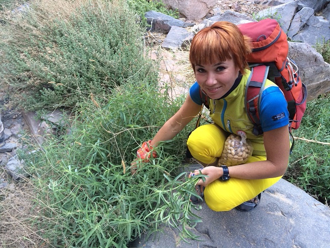 Высокогорный трекинг по Синаю – восхождение на гору Святой Екатерины (Горный туризм)