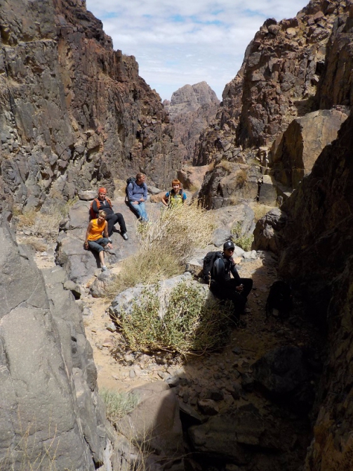 Высокогорный трекинг по Синаю – восхождение на гору Святой Екатерины (Горный туризм)