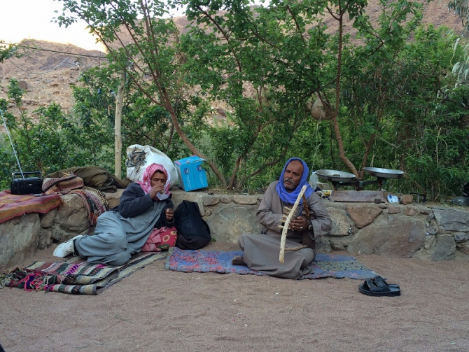 Высокогорный трекинг по Синаю – восхождение на гору Святой Екатерины (Горный туризм)