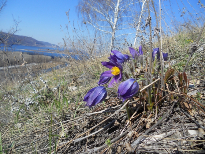 Спонтанная тренировка. (Путешествия)