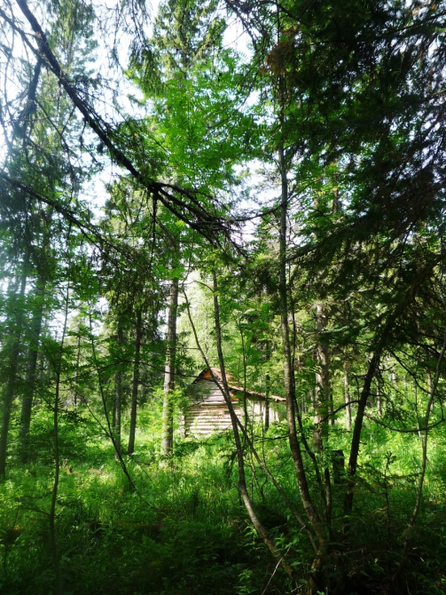 «Ветер, мачтами сосен играй!» На Урале есть Таганай… (Туризм)