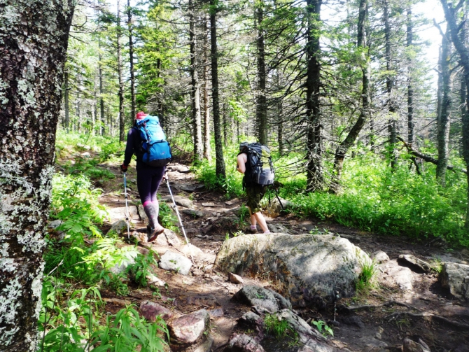 «Ветер, мачтами сосен играй!» На Урале есть Таганай… (Туризм)