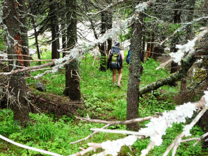 «Ветер, мачтами сосен играй!» На Урале есть Таганай… (Туризм)
