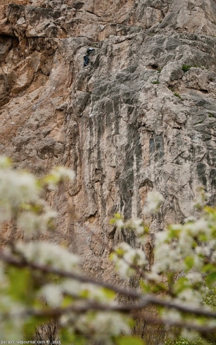 Скальный класс в Крыму. Итоги II этапа Кубка России. Фото (Альпинизм, фар, кубок россии, red fox, vento)