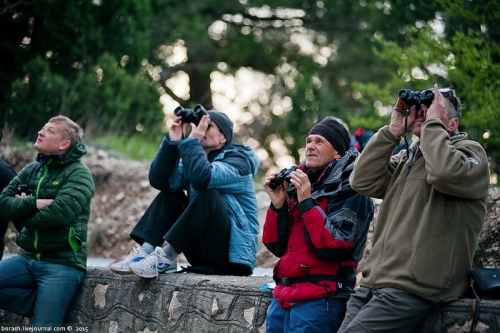 Скальный класс в Крыму. Итоги II этапа Кубка России. Фото (Альпинизм, фар, кубок россии, red fox, vento)