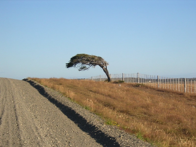 Если вы никогда не тонули в Магелановом проливе, в шторме, сидя в байдарке, во время соревнований, можно почитать, как это было у нас.. (Мультигонки, Patagonia expedition race, патагония, чили, Пунта-Аренас, Торрес-дель-Пайне, Перрито-Морено)