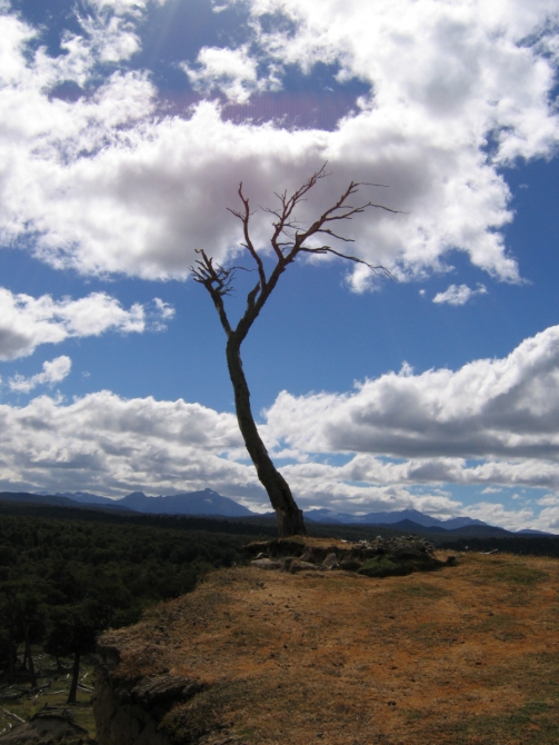 Если вы никогда не тонули в Магелановом проливе, в шторме, сидя в байдарке, во время соревнований, можно почитать, как это было у нас.. (Мультигонки, Patagonia expedition race, патагония, чили, Пунта-Аренас, Торрес-дель-Пайне, Перрито-Морено)