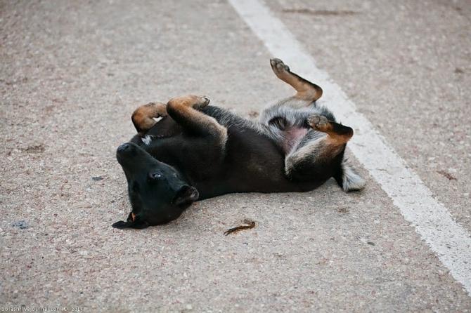 Второй этап Кубка России по альпинизму. Скальный класс. Восхождения (Кубок России по альпинизму, крым)
