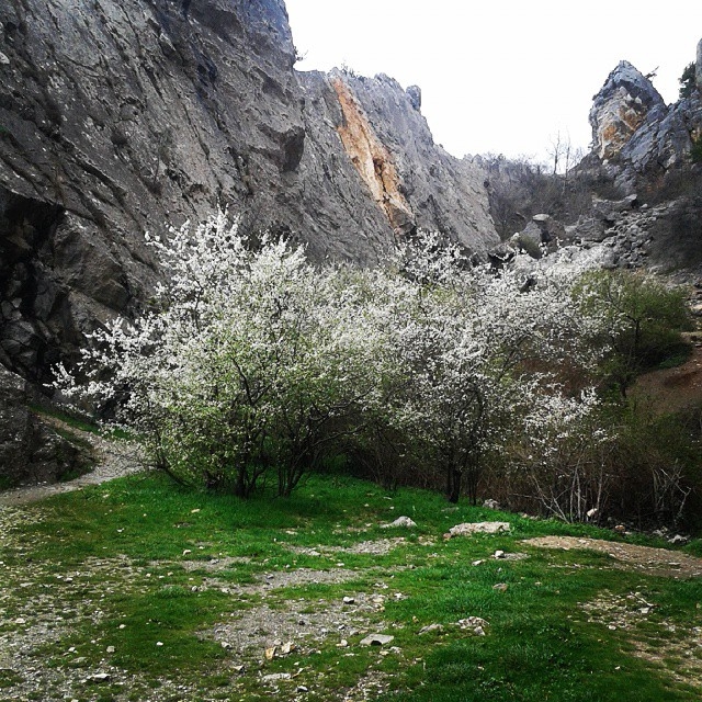 Весенний выезд в Крым + немного полезной информации по Крыму (Скалолазание, скалолазание, redfox, rockempire, zamberlan, xclimb, костин)