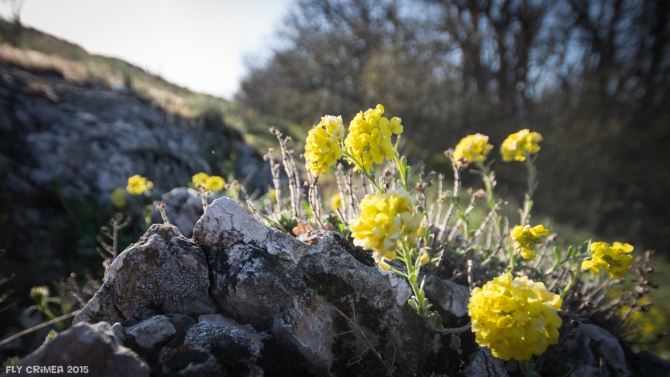 Весенний спидфлай в Крыму. Куш-Кая (Воздух, спидфлаинг, julbo, zamberlan, SwingParagliders)