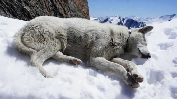 Хроники Новосибирского альпинизма. Май 2015.