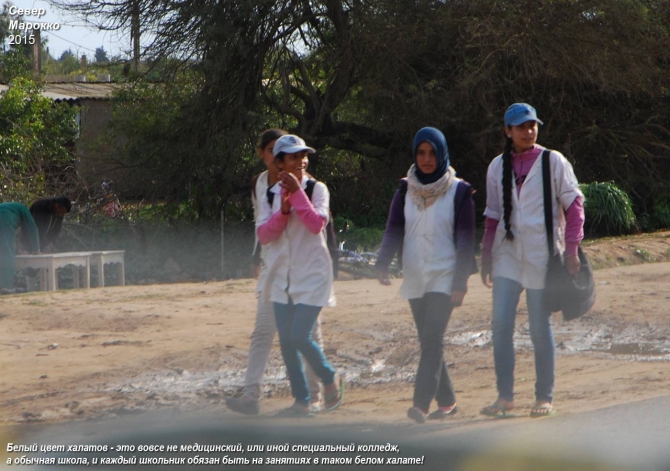 Логика попрошайничества! Этнографические записки экспедиции «Вглубь АФРИКИ: ИСПЫТАНИЕ-2015» (Путешествия, мотовездеходы CFMOTO, Африка-2015, попрошайки, нищета)