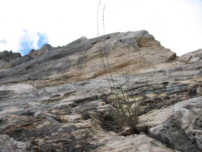 «Призраки Гурзуфа или как мы повстречали в Крыму Норвегию» (Альпинизм)