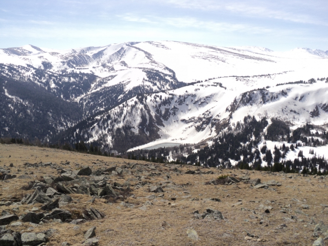 Горный марафон "Королевский белок" (Мультигонки, Алтайский край Чарышский район)