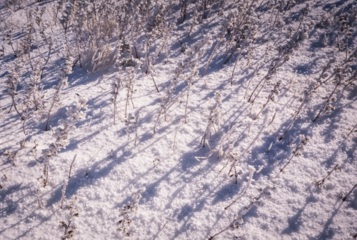 Новые хайлайны в Крыму и Краснодарском крае (Воздух, слэклайн, горы, ай-петри, индюк, демерджи, slackline)