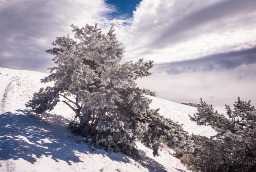 Новые хайлайны в Крыму и Краснодарском крае (Воздух, слэклайн, горы, ай-петри, индюк, демерджи, slackline)