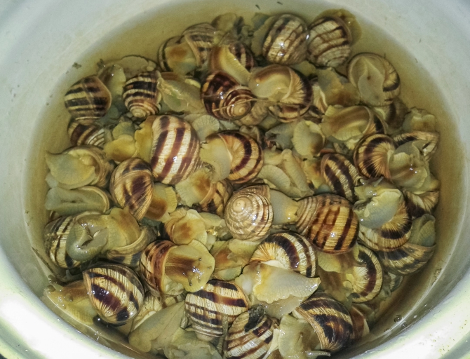 Новые хайлайны в Крыму и Краснодарском крае (Воздух, слэклайн, горы, ай-петри, индюк, демерджи, slackline)