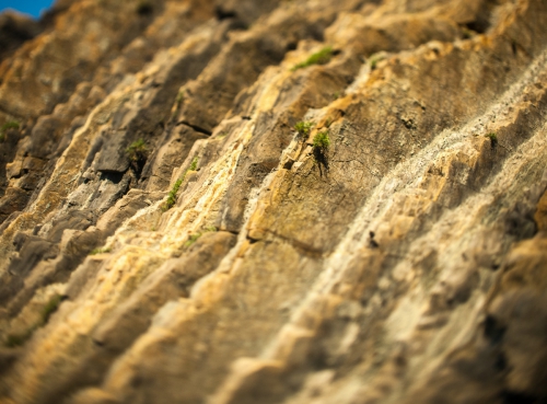 Новые хайлайны в Крыму и Краснодарском крае (Воздух, слэклайн, горы, ай-петри, индюк, демерджи, slackline)