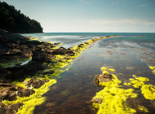 Новые хайлайны в Крыму и Краснодарском крае (Воздух, слэклайн, горы, ай-петри, индюк, демерджи, slackline)