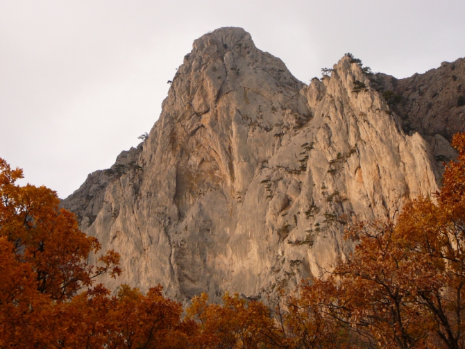Школа Роупджампинга в Крыму (Ropejumping)
