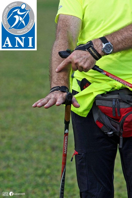 Хотите всегда быть в хорошей форме? Начните ходить! (Туризм, скандинавская ходьба)