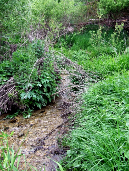 ЗАДОНЩИНА: ВОСПОМИНАНИЯ О БУДУЩЕМ, PREVIEW КРАСОТ NIKITA ADVENTURE RACE 2015 (Мультигонки, задонск, никита башмаков)