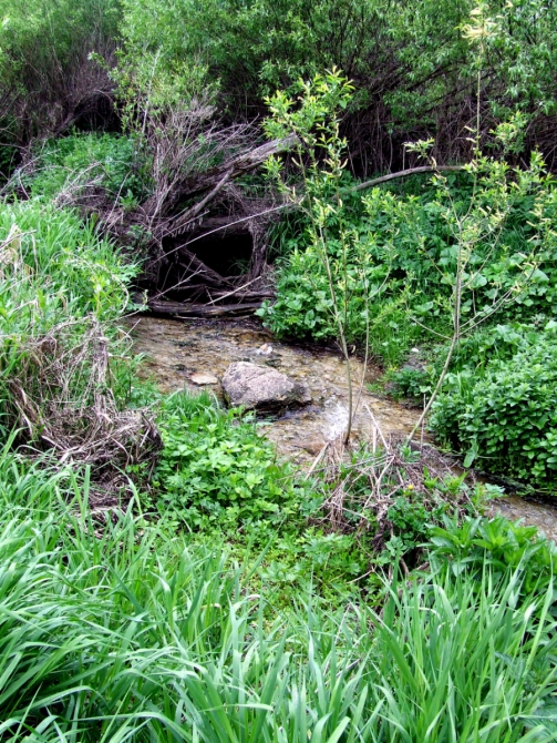 ЗАДОНЩИНА: ВОСПОМИНАНИЯ О БУДУЩЕМ, PREVIEW КРАСОТ NIKITA ADVENTURE RACE 2015 (Мультигонки, задонск, никита башмаков)