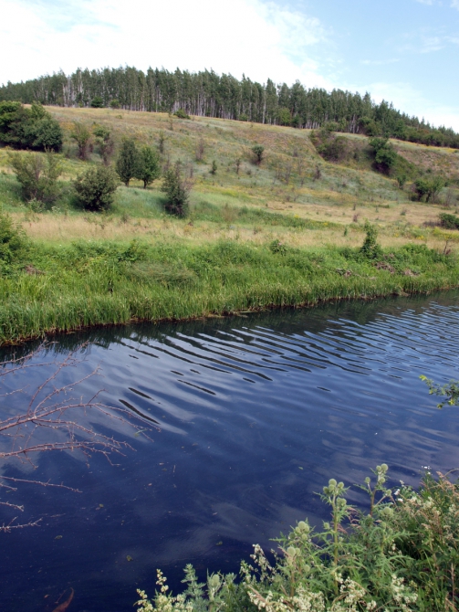 ЗАДОНЩИНА: ВОСПОМИНАНИЯ О БУДУЩЕМ, PREVIEW КРАСОТ NIKITA ADVENTURE RACE 2015 (Мультигонки, задонск, никита башмаков)